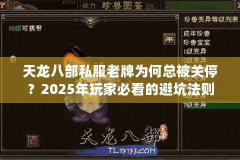 天龙八部私服老牌为何总被关停？2025年玩家必看的避坑法则