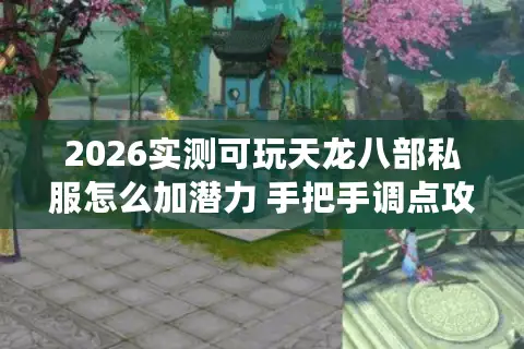 2026实测可玩天龙八部私服怎么加潜力 手把手调点攻略分享